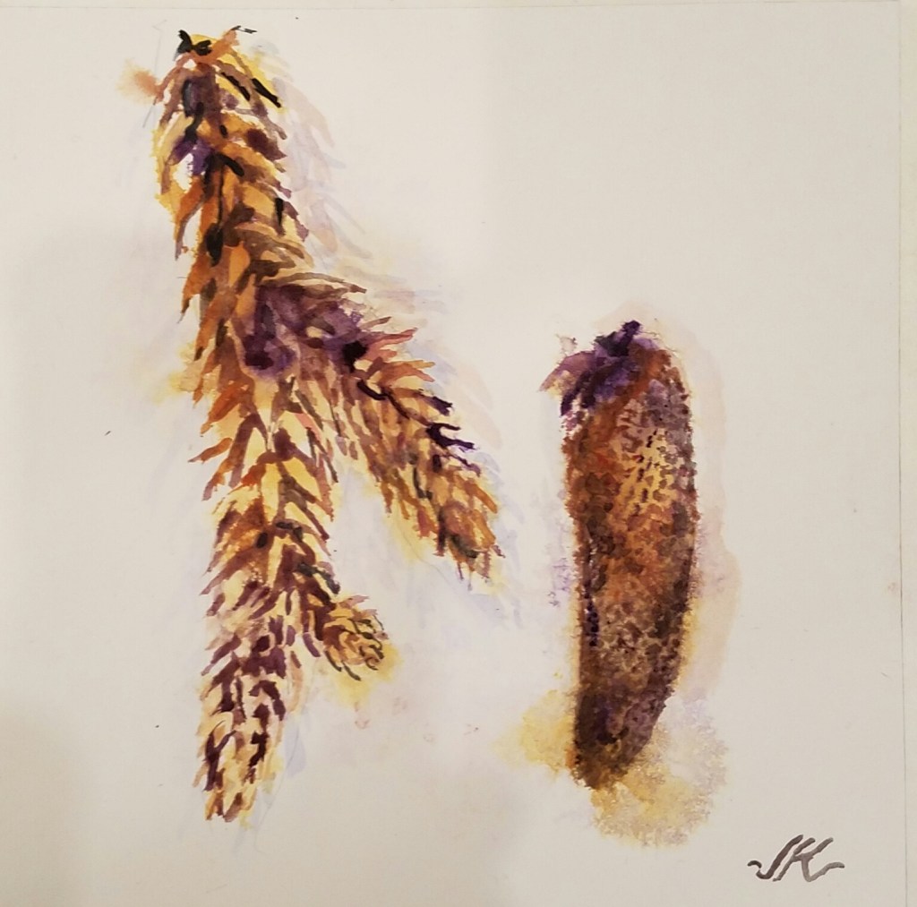 Humidity and the Tropic of&nbsp;Capricorn