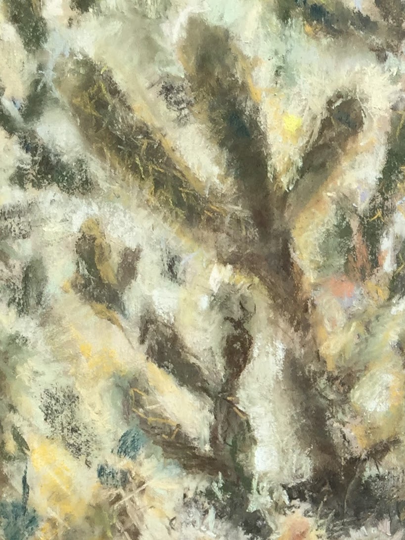 Desert Botanic GardenDTL2