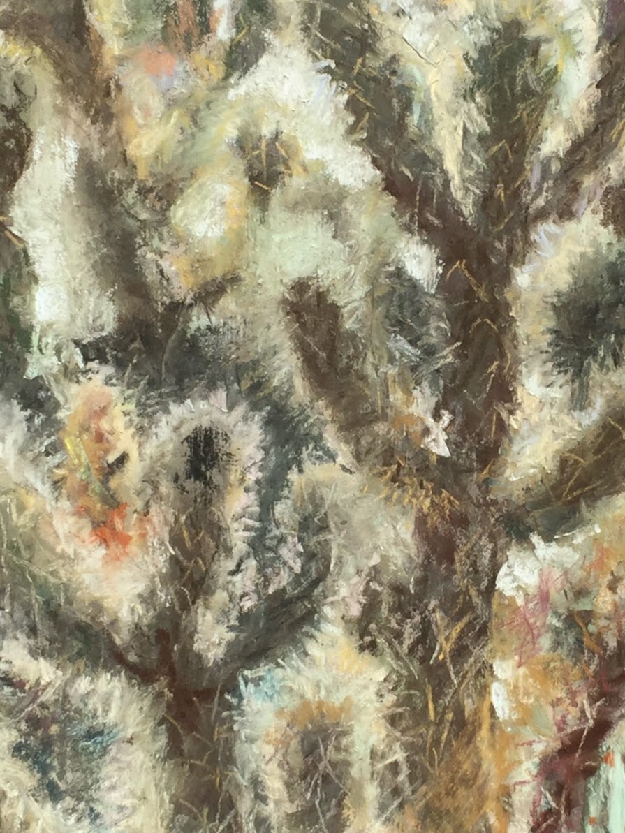 Desert Botanical Garden Dtl.