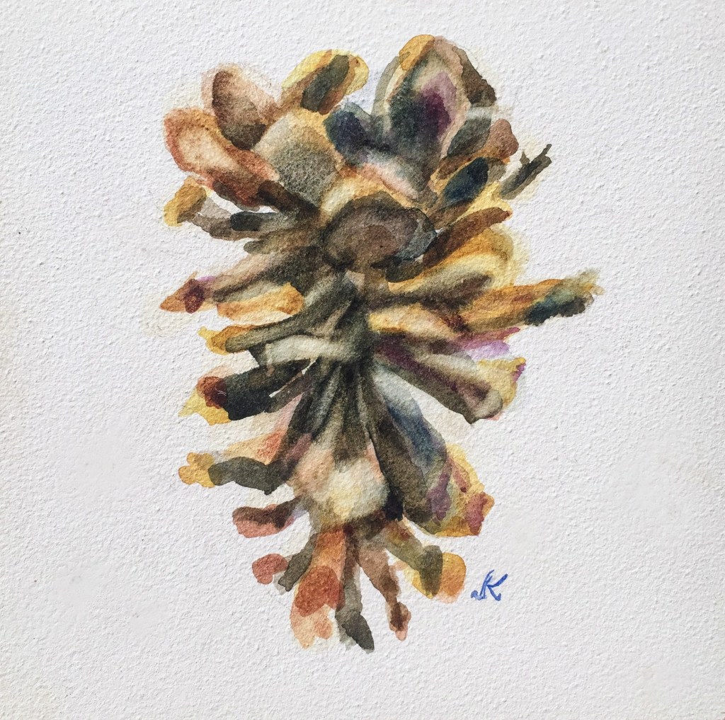 Exuberant, Inverted and Dangled Ponderosa Cones