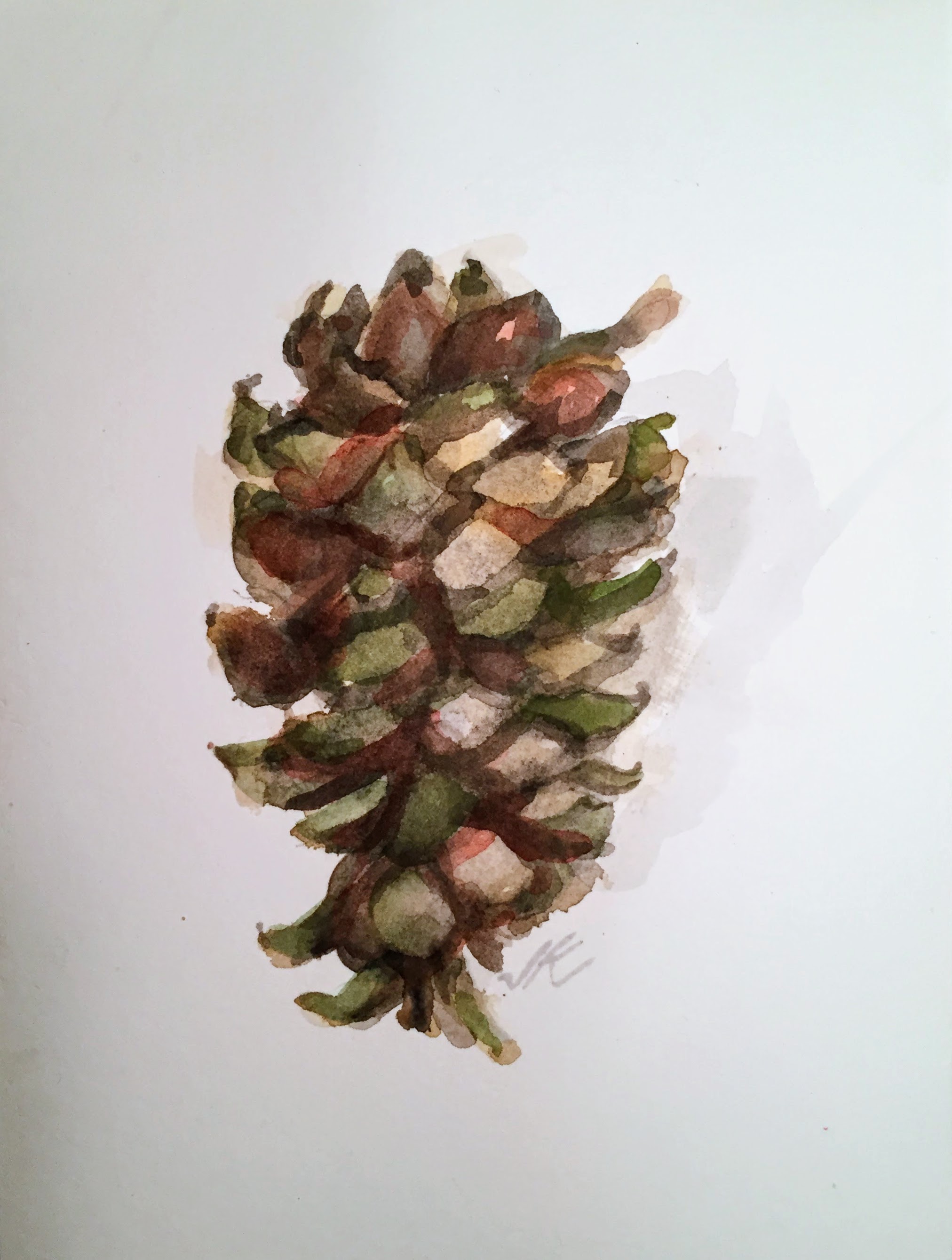 RedGreenPineCone2017