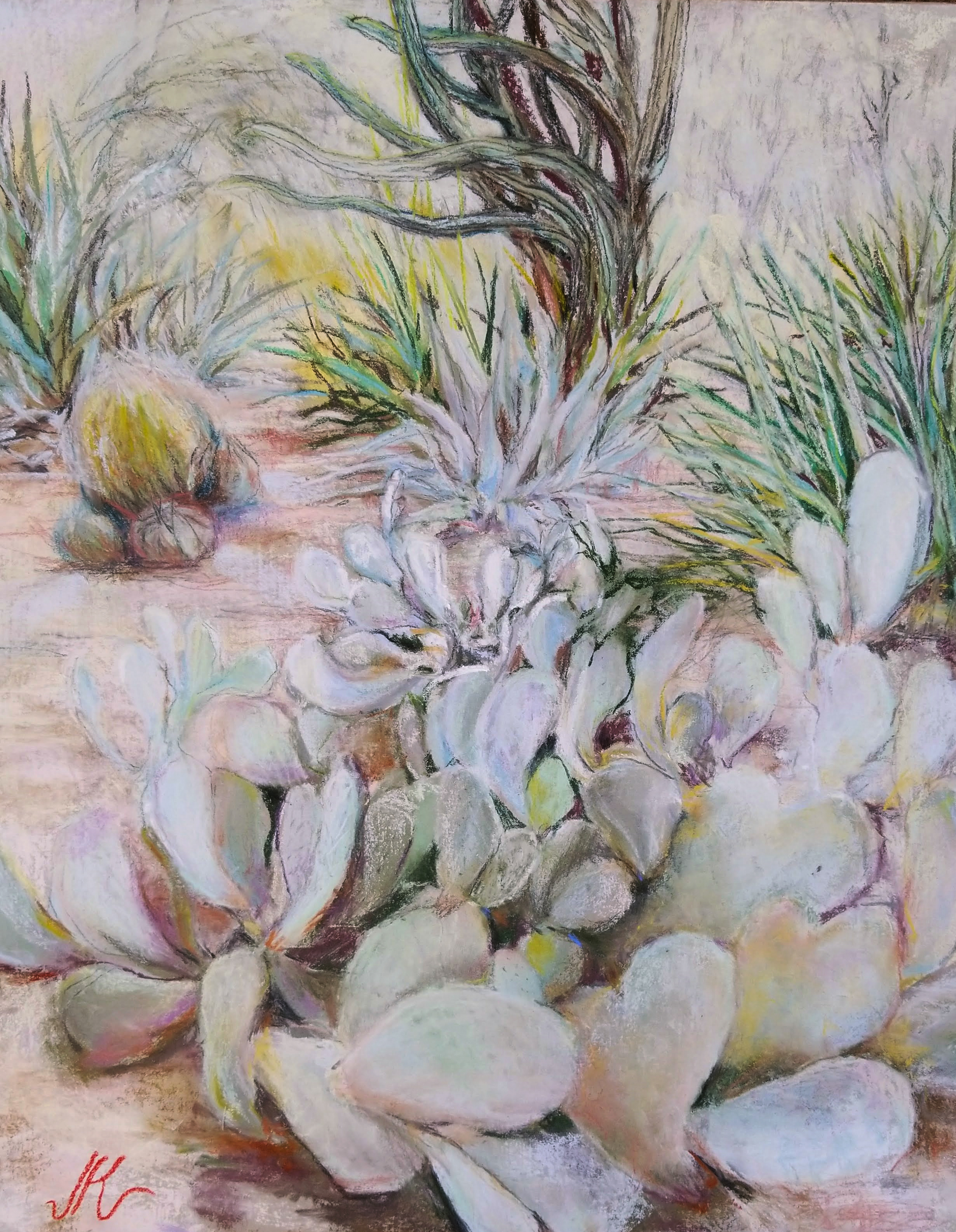 BeaverTailPricklyPear