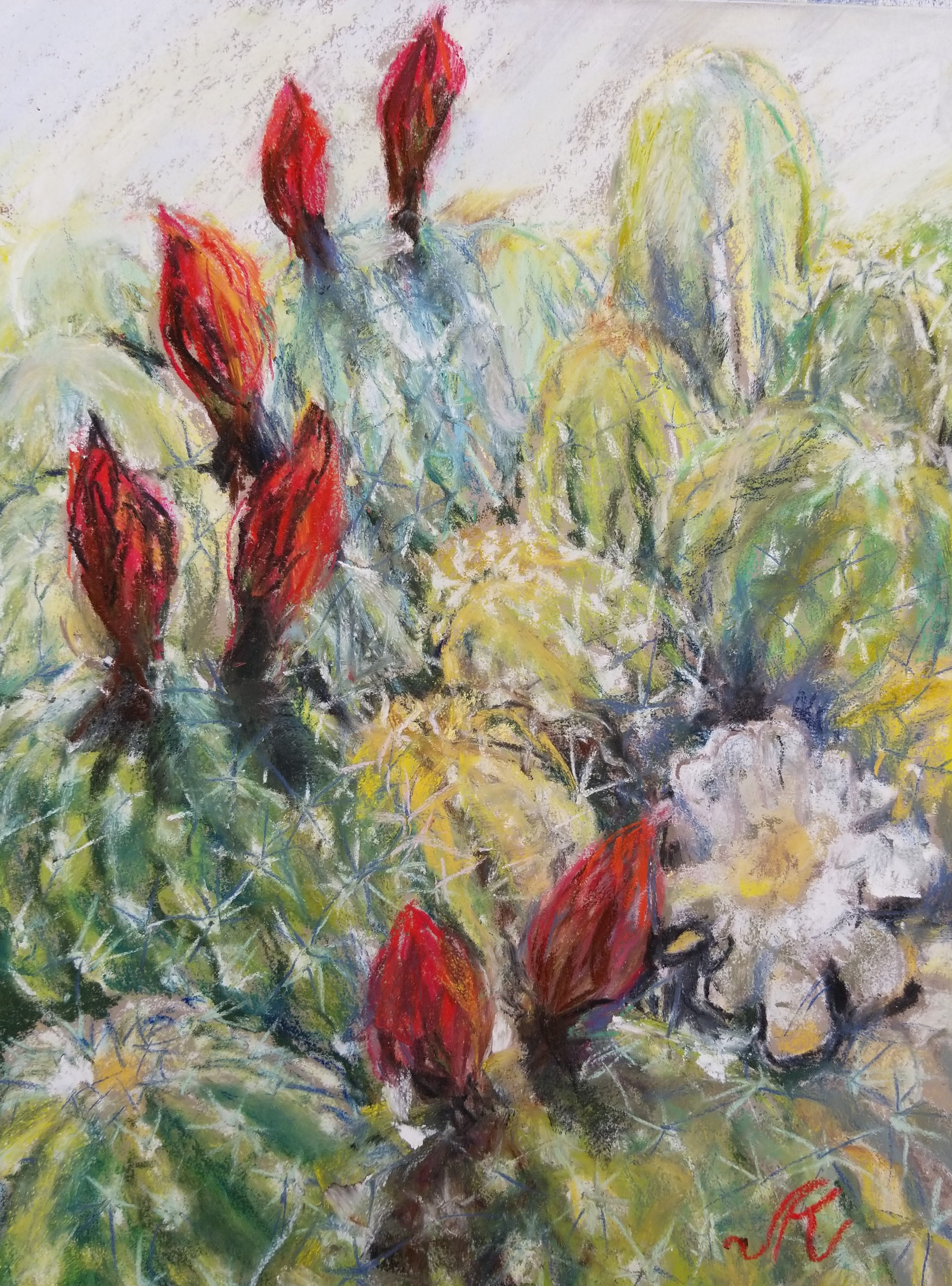 IMG_20180325_151410_2