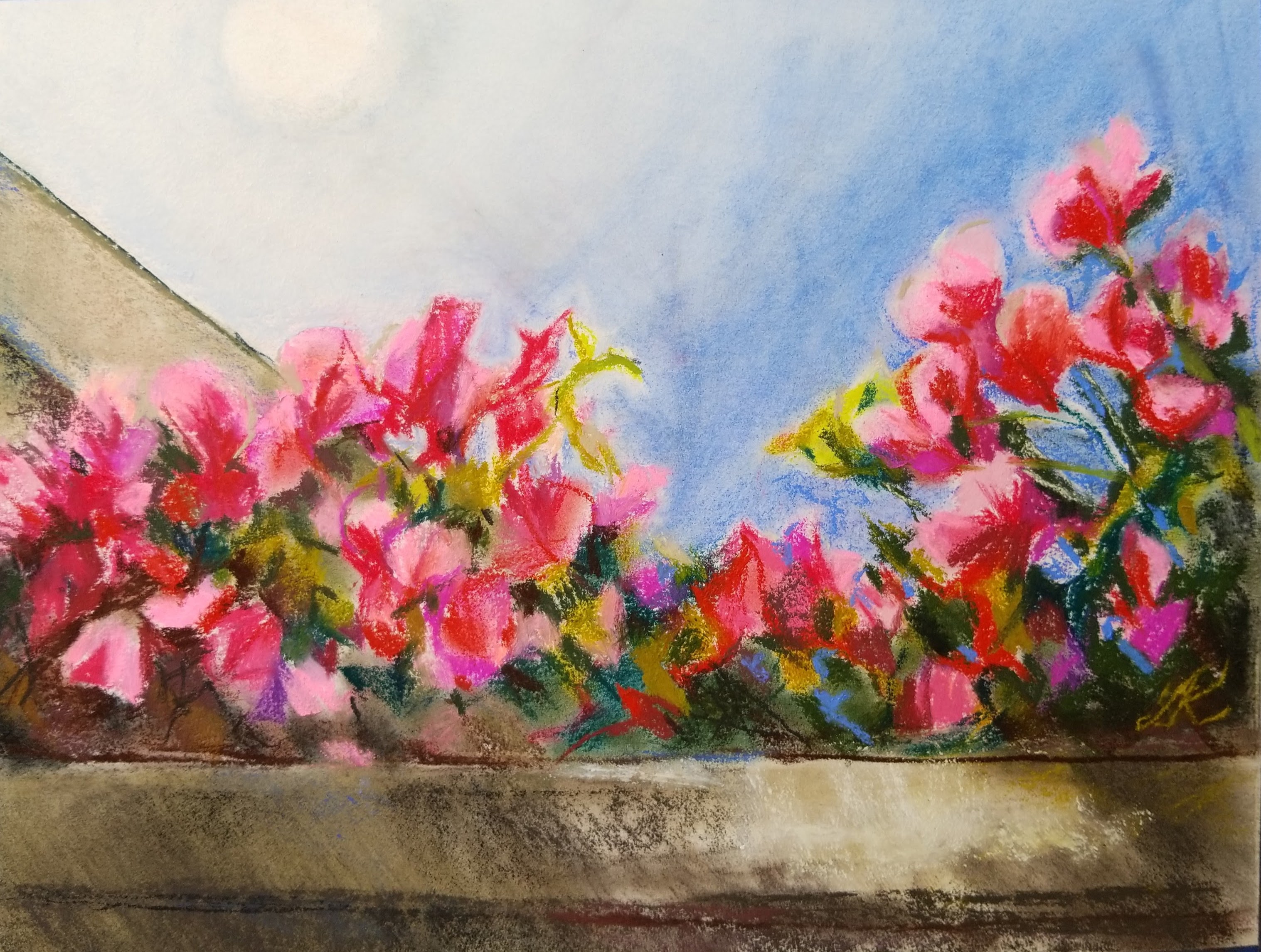 IMG_20180422_093910 (1)