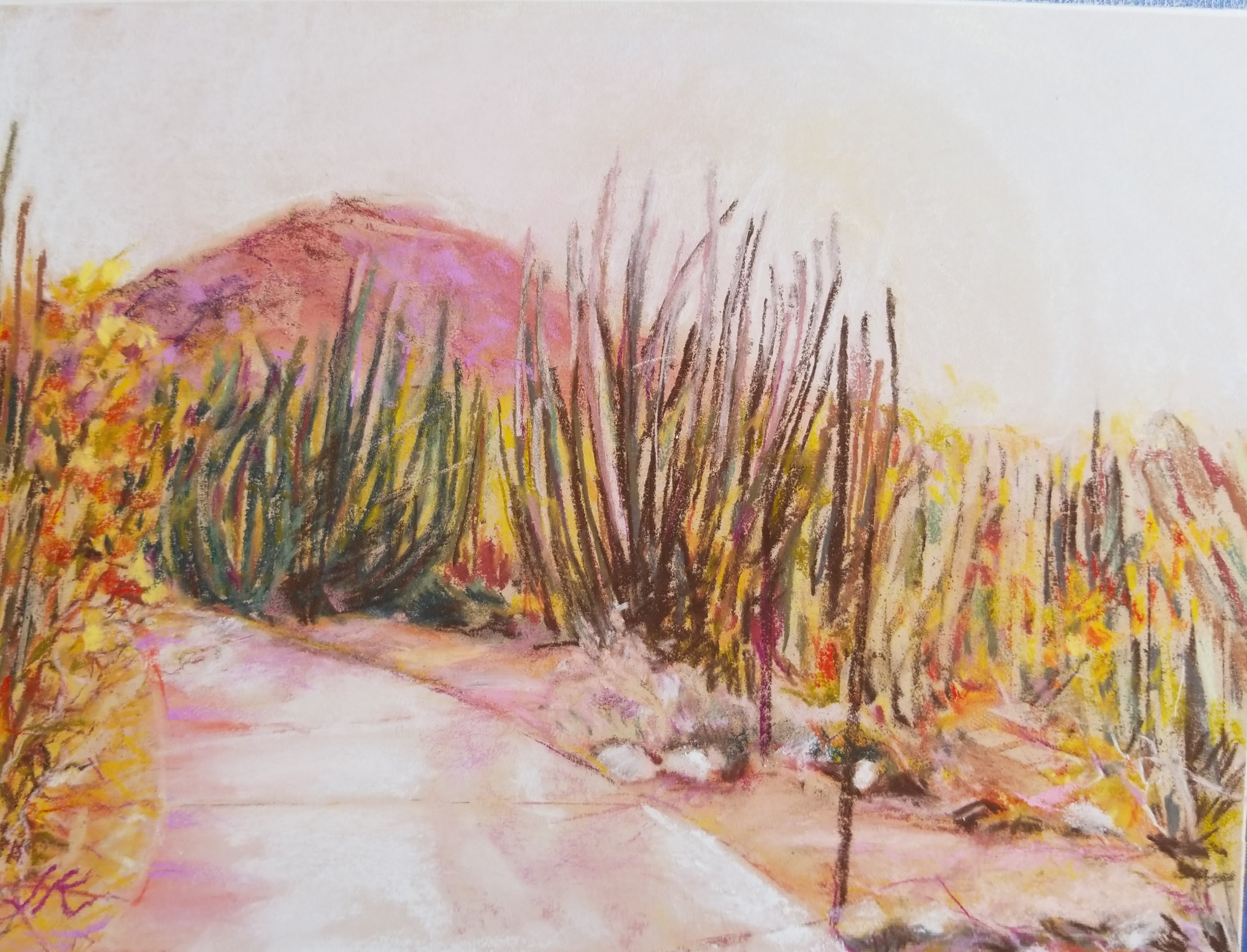 IMG_20180428_111436~2