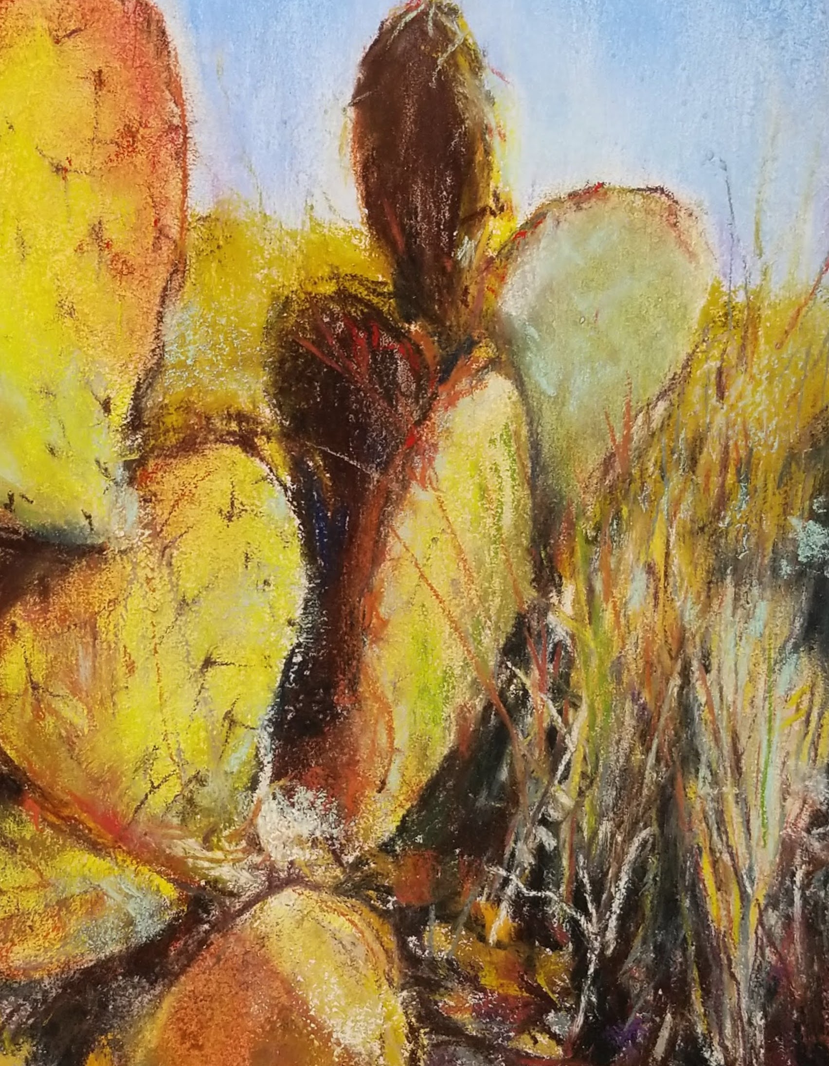 20180329_144515_polarr_filter2513106481995121200