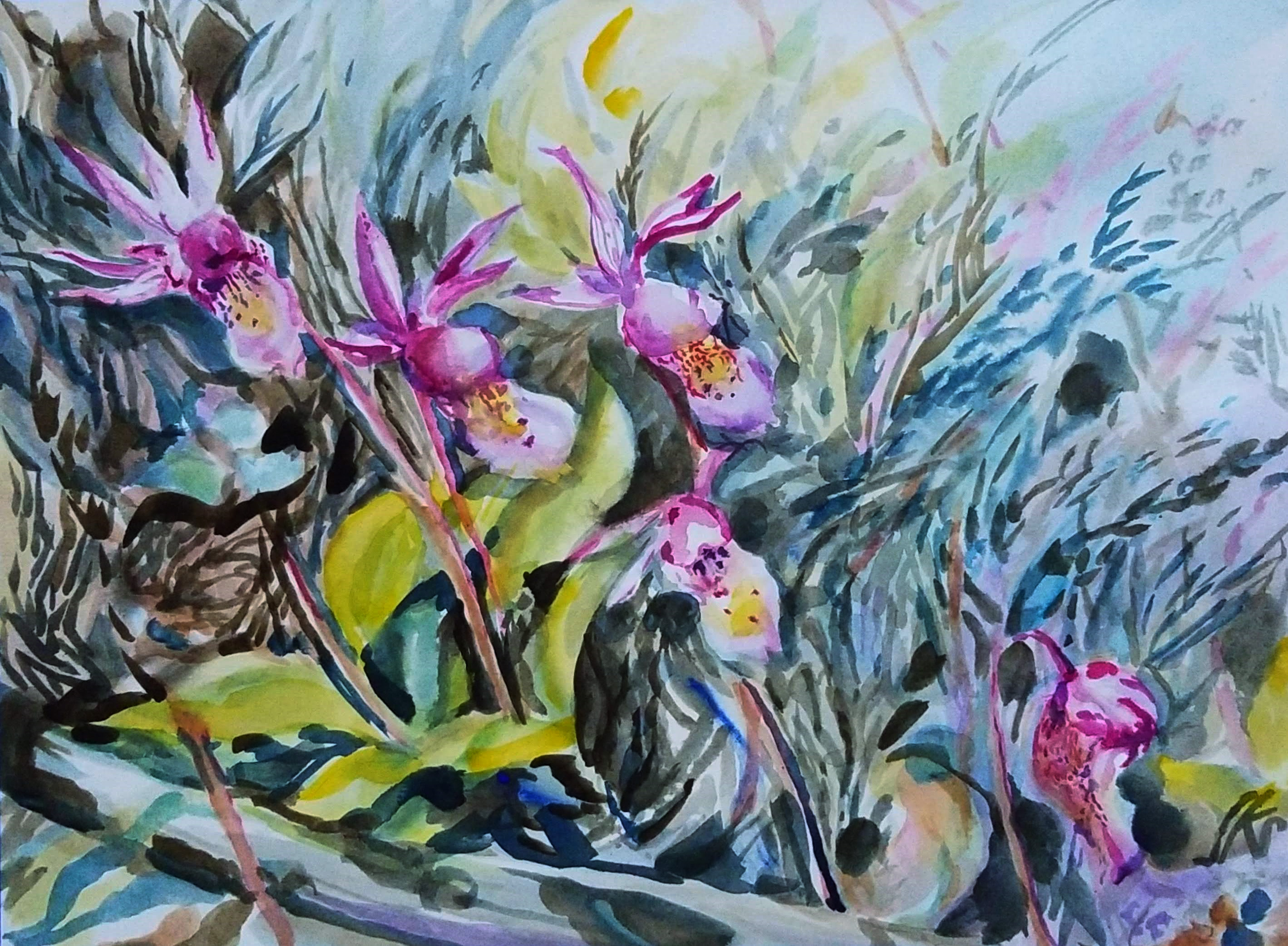 IMG_20180607_133807~2