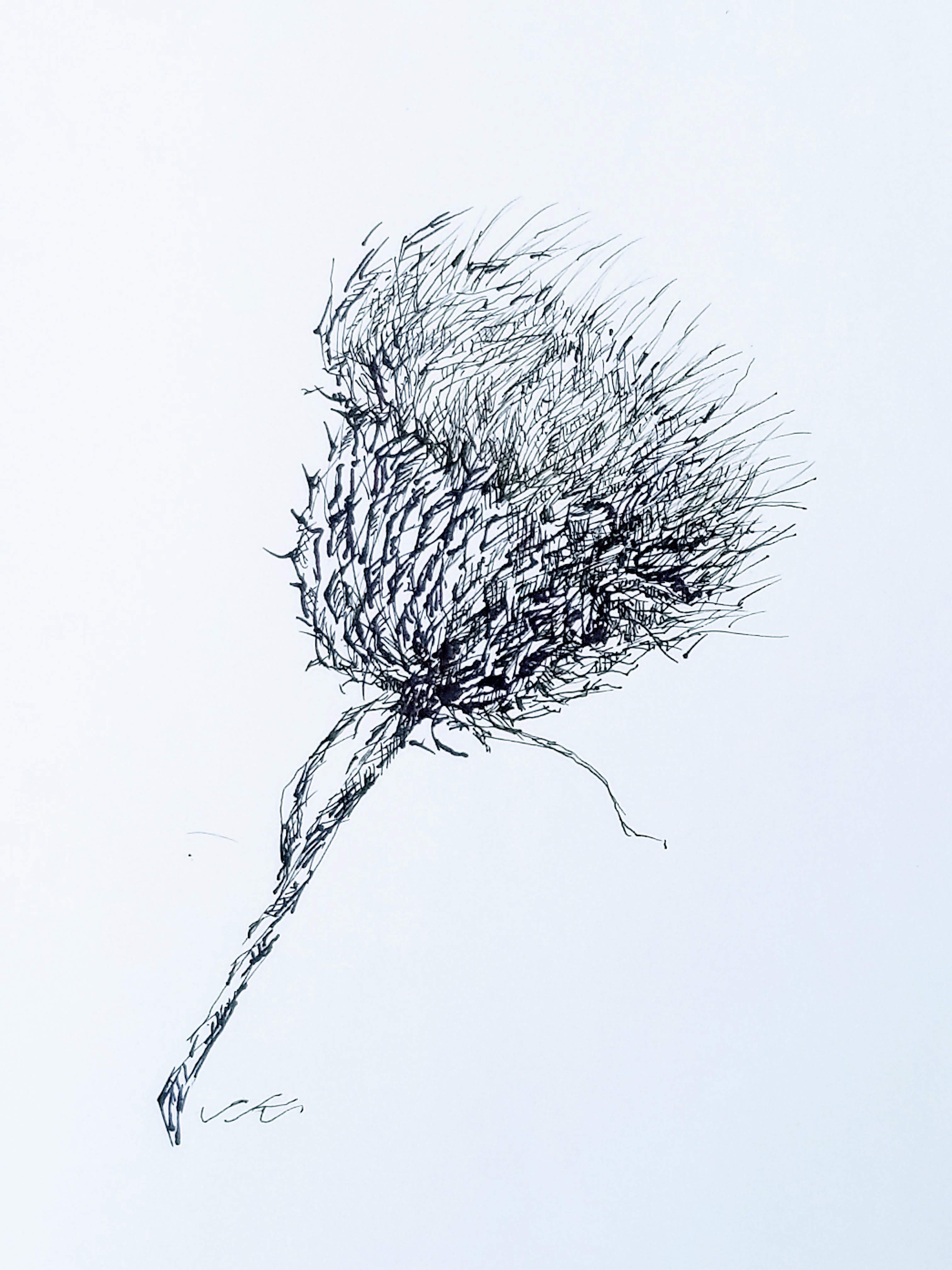 IMG_20180719_130243~3