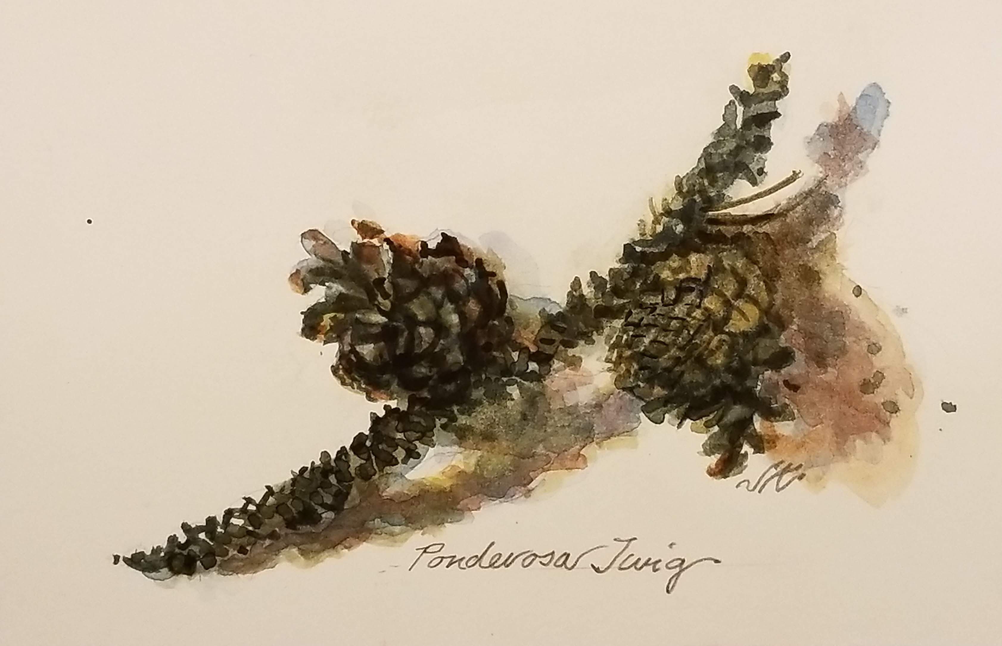 IMG_20180920_173250~2(2)